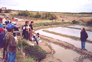 marais.jpg (78645 octets)