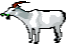 chevre2.gif (1565 octets)