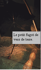 img6.gif (17204 octets)